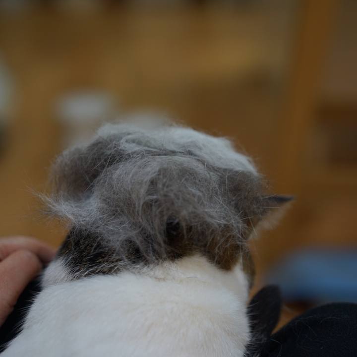 8c24701d 1644 4000 a3cd 5873713120d9 1551743031665