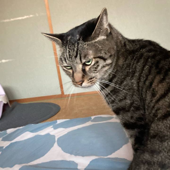 8c2482b0 db9e 44a9 97dc 495247df786c 1666412141067