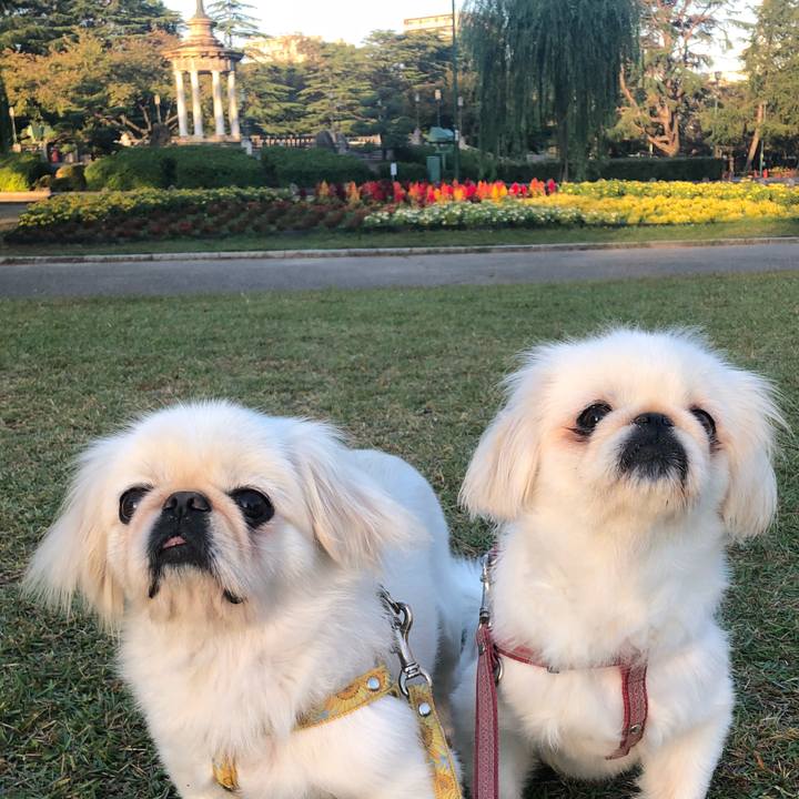 8c24971e 6c89 4df8 8498 abdaf1ddb4a6 1540524957269