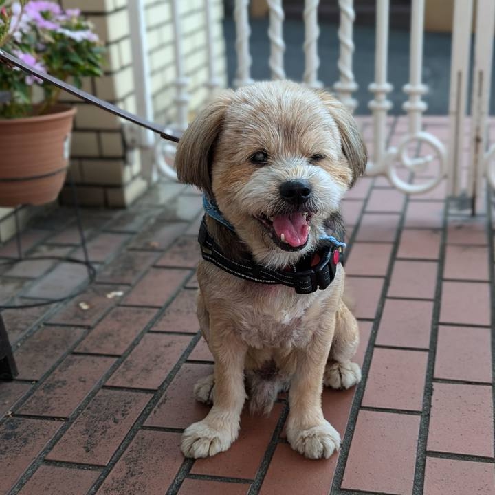 8c249b8c 0fa6 4730 abfa 4a7fdd7ac7d5 1724795956907