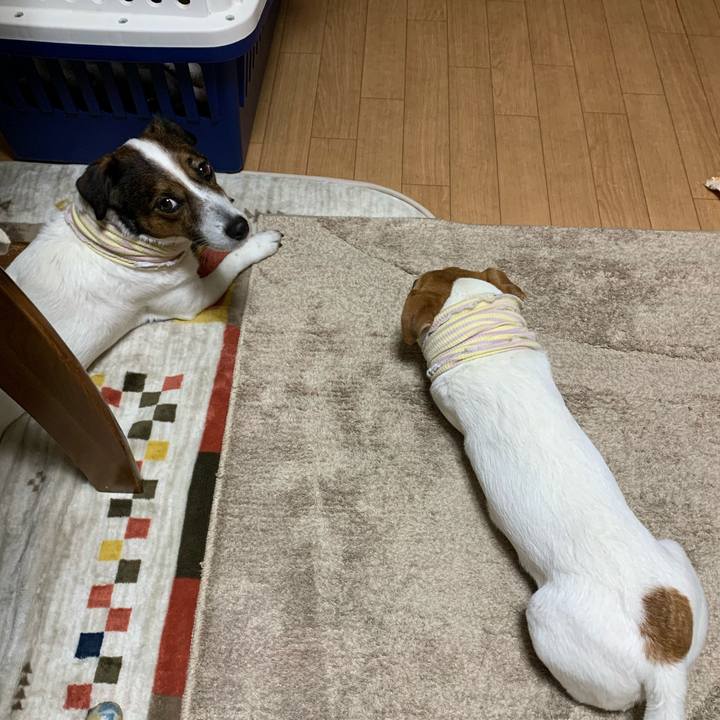 8c24a1c4 cd63 4b31 94ec 657ed5dcfdb9 1613991593248