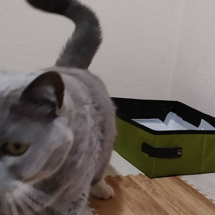 8c24ad66 552f 4d92 bc78 a11e6968745a 1650358913373