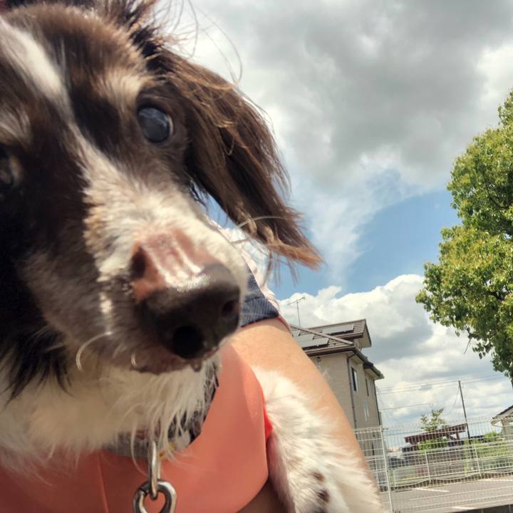 8c24c5f6 9dc2 4c07 ac8a 8452327e550d 1622688227149