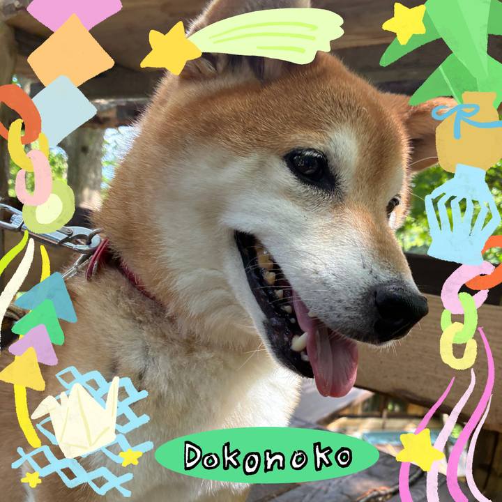 8c24ea2d ded4 44ca a862 125f481aeedf 1755067205417