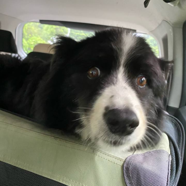 8c251c81 969a 4c1e 8789 fba10a99b423 1661034592660