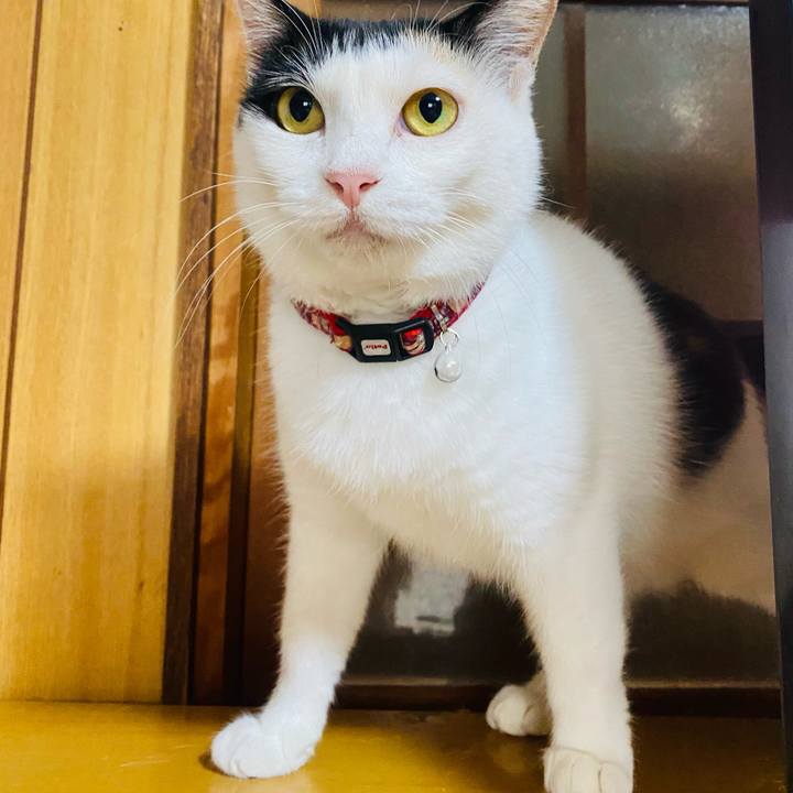 8c251ea8 43bc 4a88 8908 9f88d1049adc 1657485742374