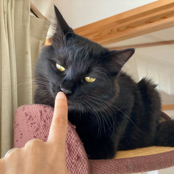 8c253309 c0f2 48e4 b7ef ef79ac356360 1716707699848