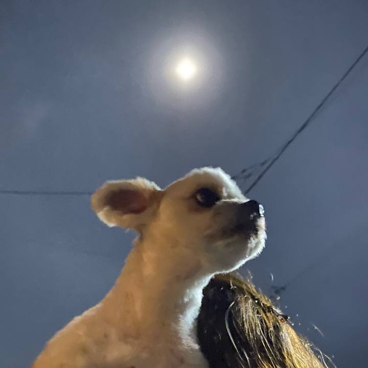 8c256a10 fe52 49d6 8da4 4a1636e4ae65 1729173135833