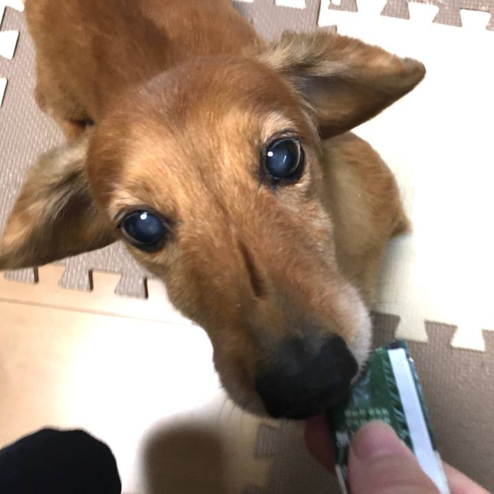 8c259575 b257 48b8 aed7 47ad6da39dd6 1578740077815