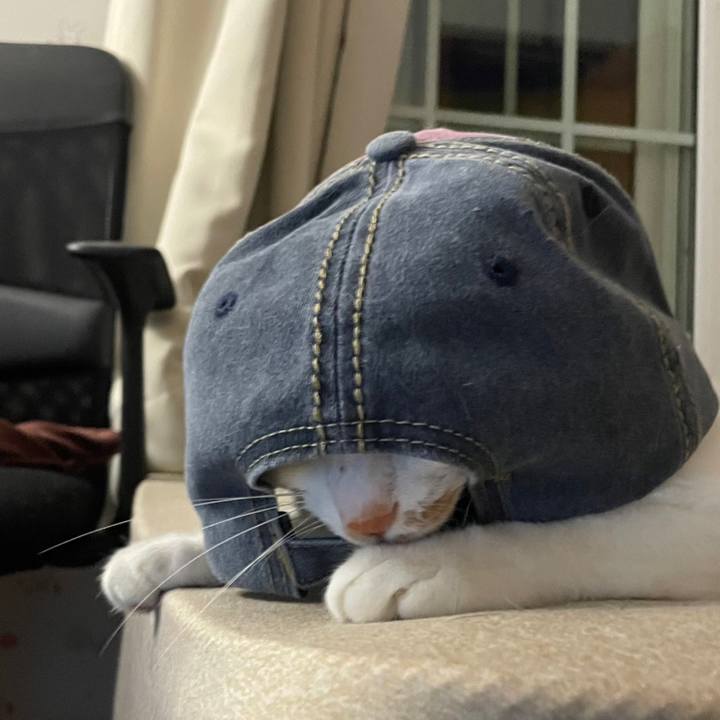 8c25c419 d3a9 4e1d 86c0 6f74710673f9 1688536294956