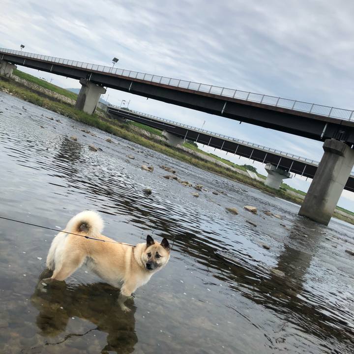 8c25c7fe 5d72 445a 9c18 095a6d8d0e21 1625400735915