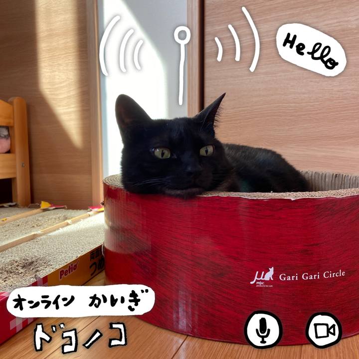 8c25dee6 e163 43ea 8b5b fbe9daf4078c 1590790331107