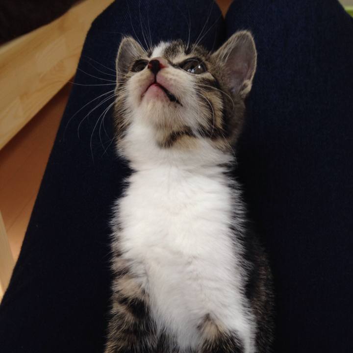 8c25f9a3 3472 4374 bcab 73e4397c9d8a 1508305892645