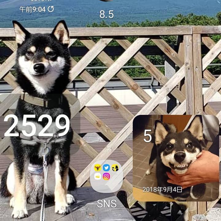 8c25fd33 4b7a 4d17 a34b c8a52f245e60 1662337322432
