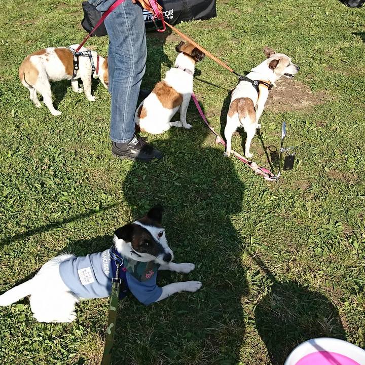 8c260175 2eb5 4f4a 8413 b1dd547c822d 1525502489249