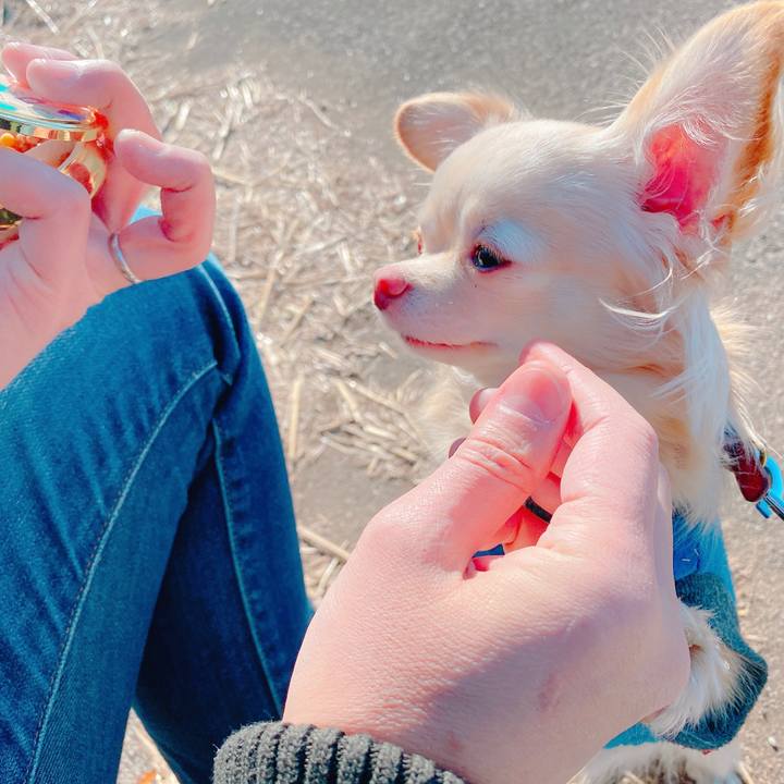 8c261332 521f 4e19 b54c 4a549e8d53fa 1645690361588