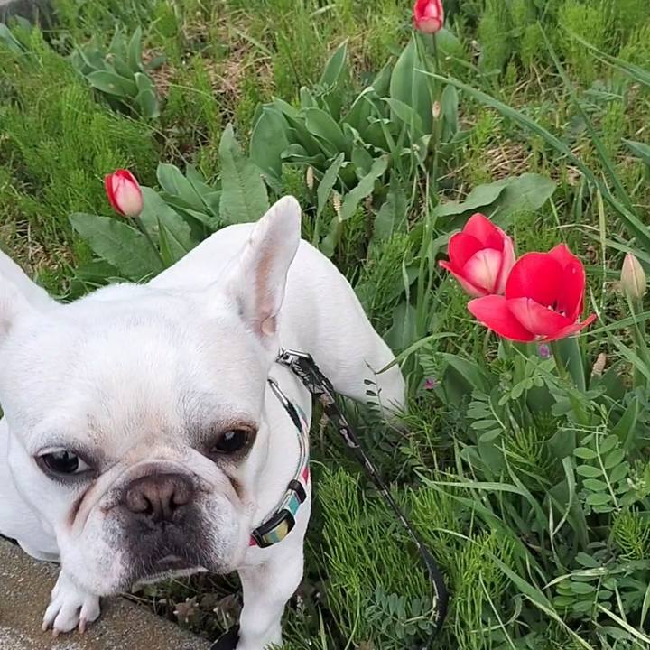 8c2631c2 415e 4530 a919 e0efc412416e 1679704769892