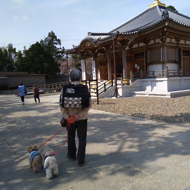 8c26374f 27ed 4807 9457 e50a306b8b8c 1616922657312