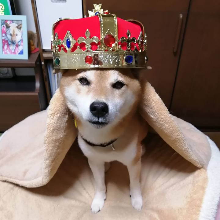 8c26aace d469 4e26 a305 e47392ba5ae7 1666323912362