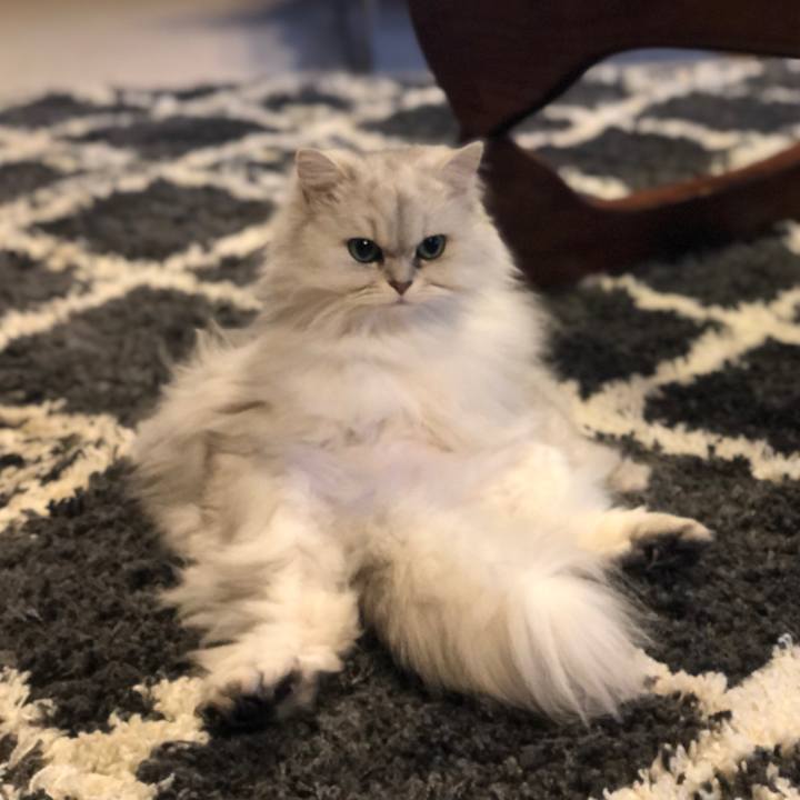 8c26b559 0918 4f25 ac32 baa838b74bc2 1614728646816