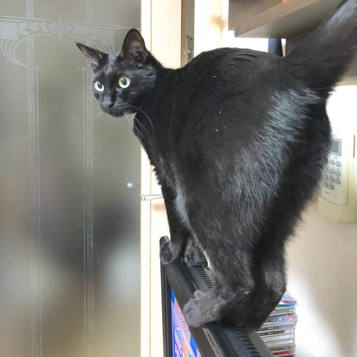 8c26bcfb d1e4 495d 9f39 45f236558f6c 1586349855149