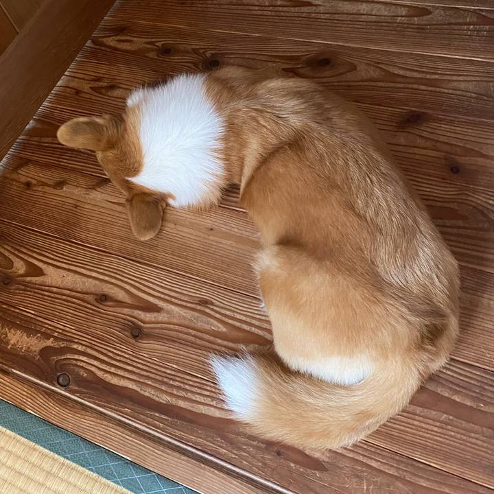 8c270a87 f46f 40f1 88a8 38600f6f5c32 1661551431473