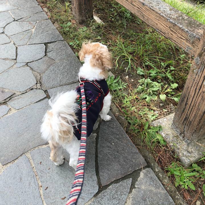 8c270ddf 1bfc 4188 a179 af9063fb0ea4 1603316636067