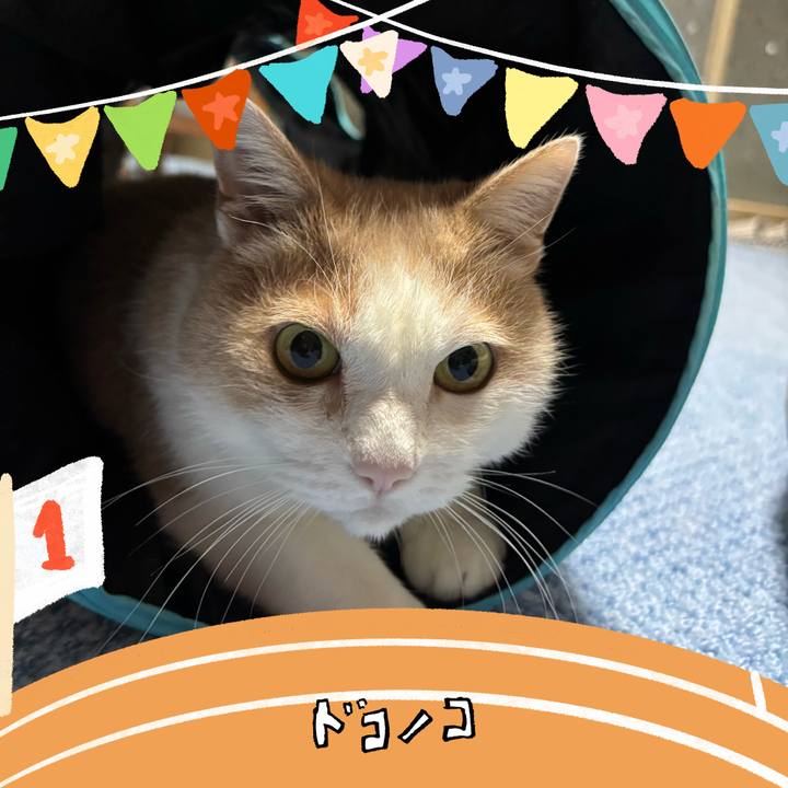 8c27326a f914 43c1 8507 74040c1b3263 1761180897711