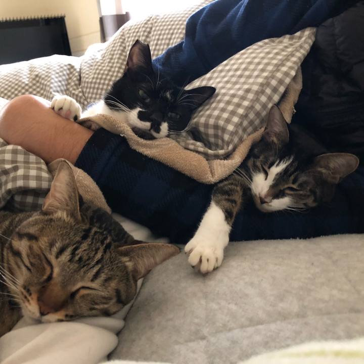 8c274f69 851d 4c2f bebe f23aa7822672 1546779400462