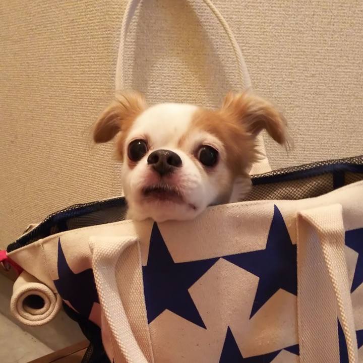 8c276545 c14e 40d7 ad03 271a96806d72 1571466903064