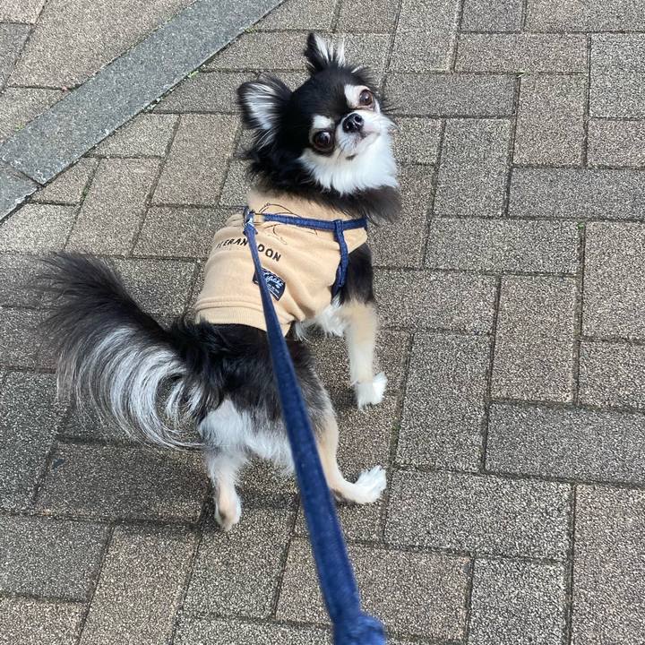 8c276aff 5da5 4d43 a5aa 9b84bf301aee 1679411332400