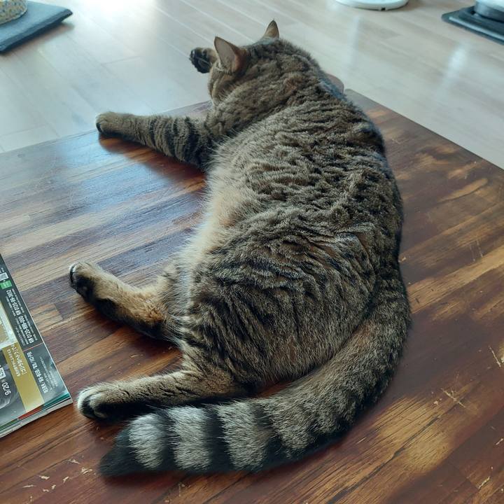 8c277fe9 44d2 4649 b030 e89312f872a5 1632362496831