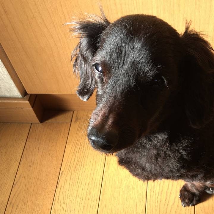 8c27af37 c1ee 49bb 9713 ba5a7c31d750 1541028054293