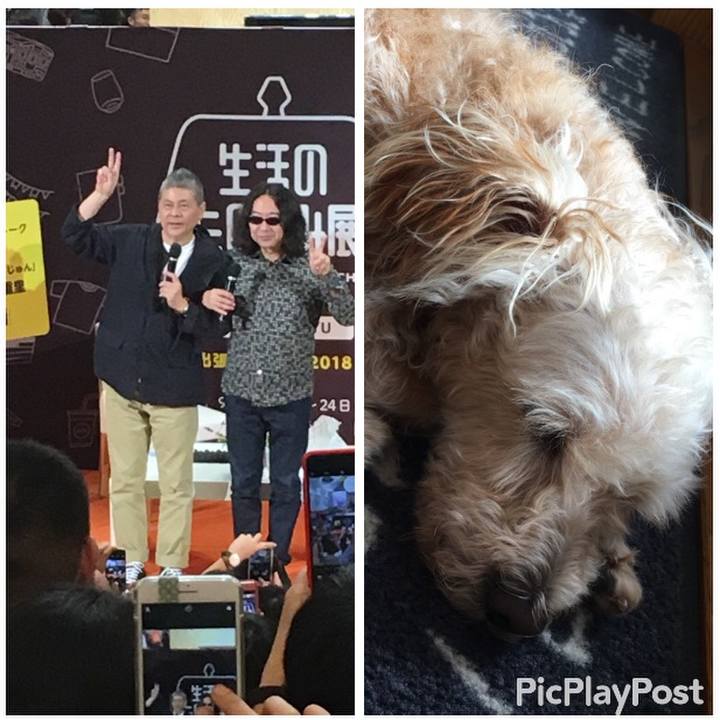 8c2808e7 257d 4114 9cde 01db51d1d570 1537845053468