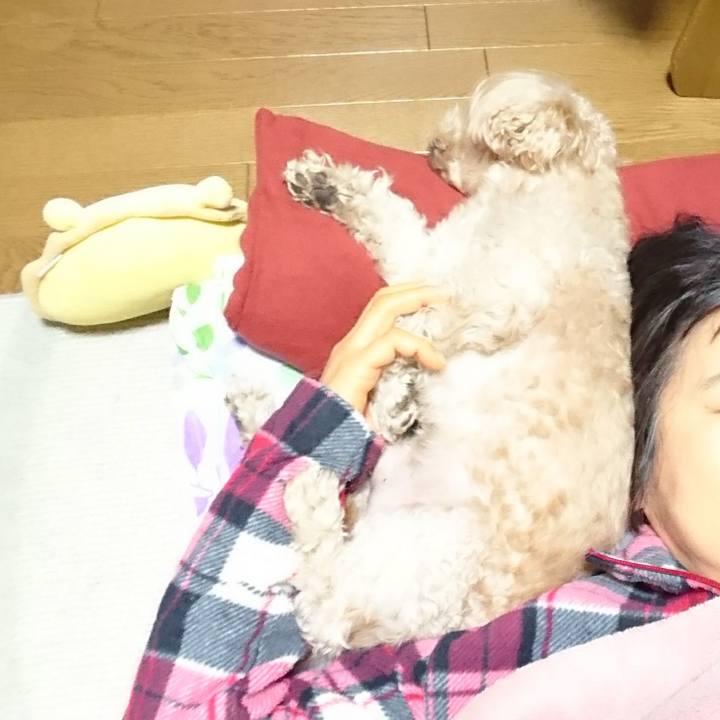 8c281ede 8066 47c0 80e3 7ebc9f2cccc7 1546491445712