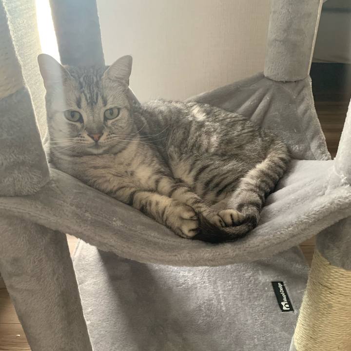 8c287984 3c26 483e aa7c 735eeba85616 1663475176236