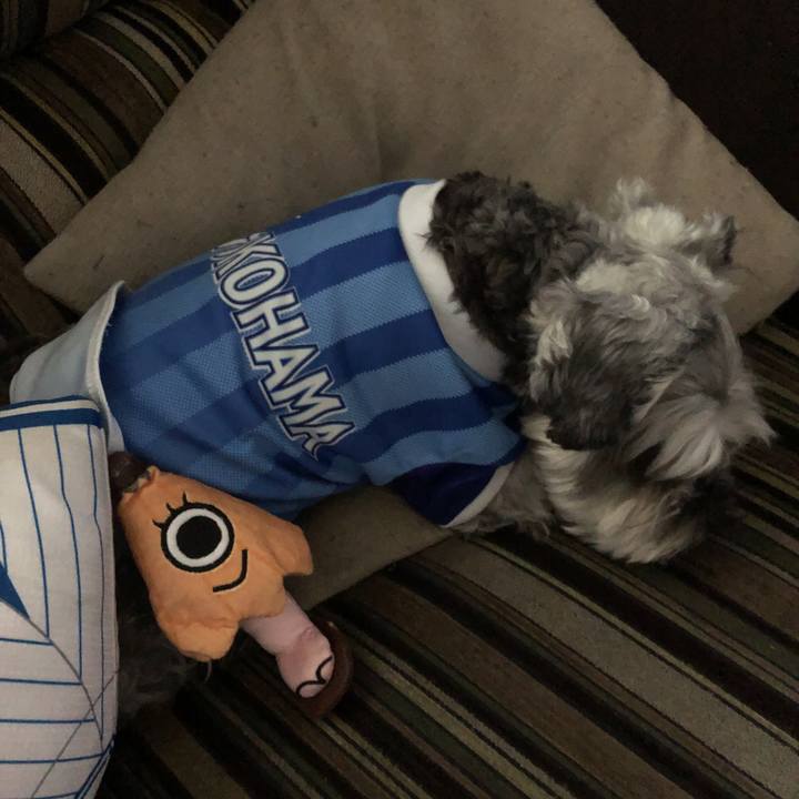 8c287e13 fedc 4ee4 9236 8ecf5f3077f7 1562484601192