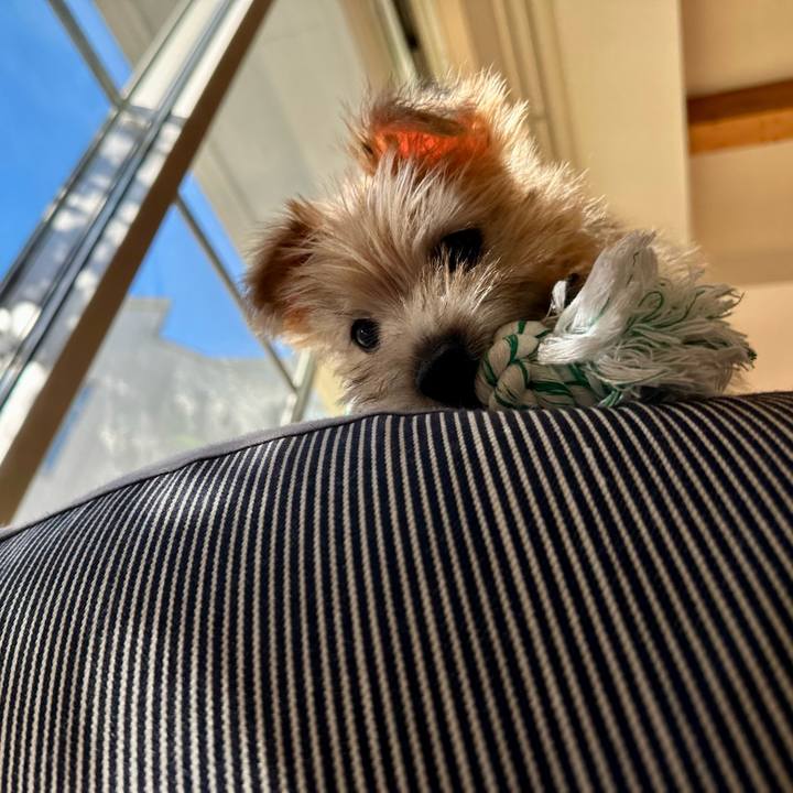 8c28a1b8 fdc0 4a17 b0d3 60a5e52343a1 1701696526966