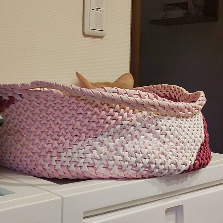 8c28b429 2898 4377 8f8f 02ac781a76d9 1718273276575