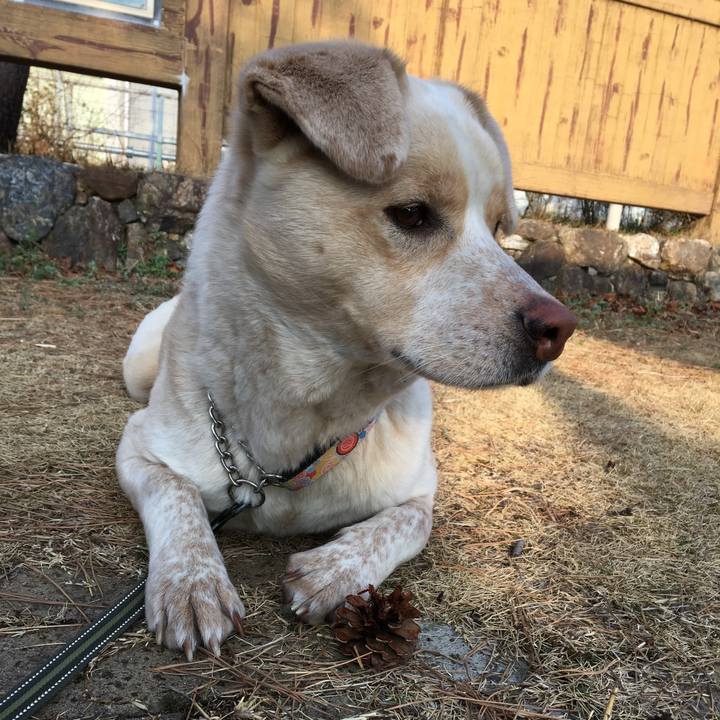 8c28b534 eaf5 4b1e a933 53264ef6f1de 1520853993526