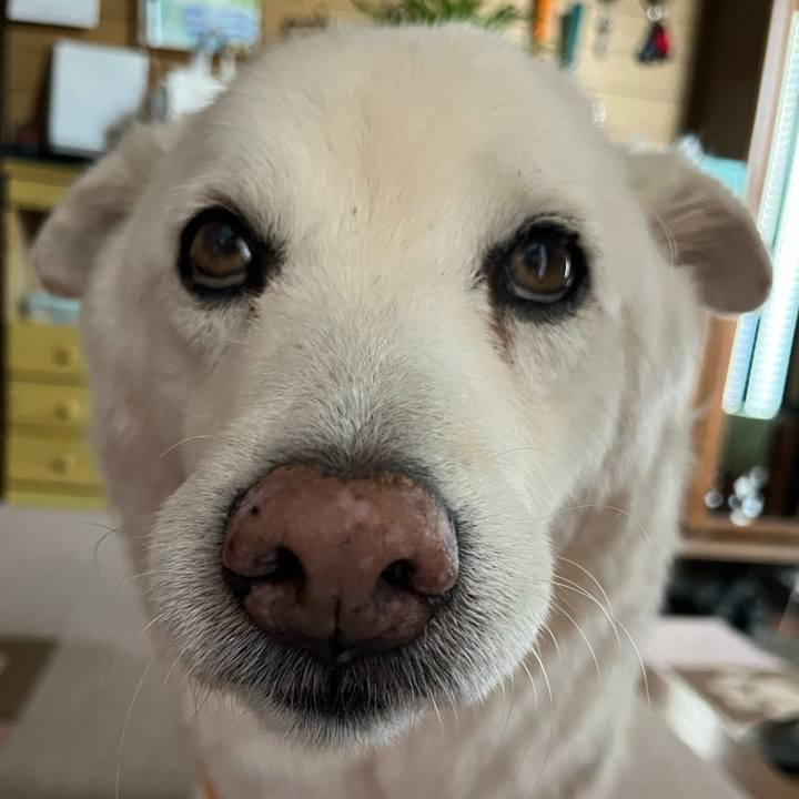 8c28c881 6a41 42d6 a64e cc5900c943d4 1763508961455