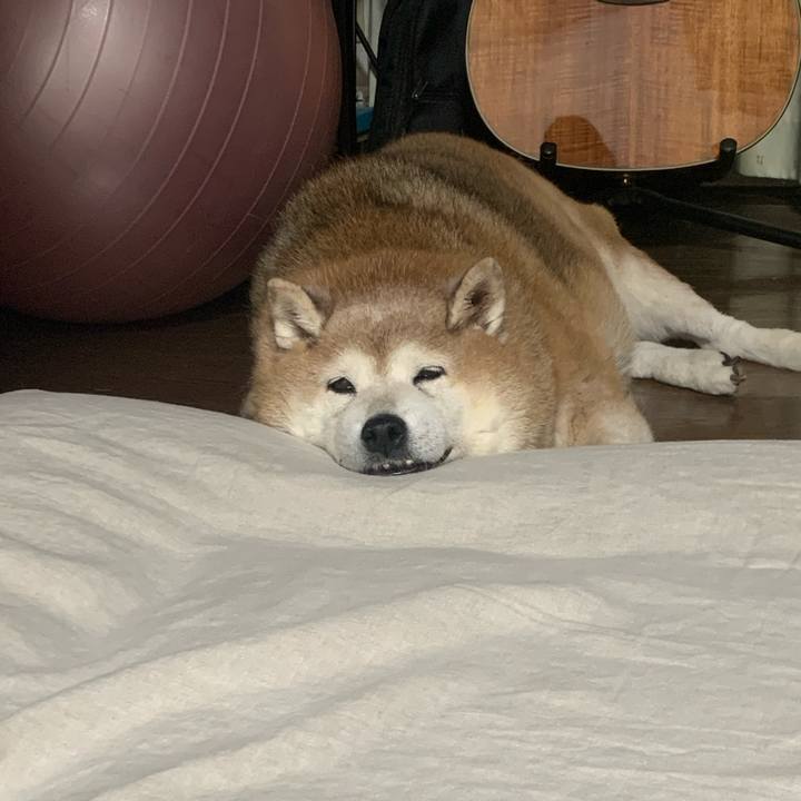 8c28e231 870c 43d5 af92 25d688da6b00 1632019844696