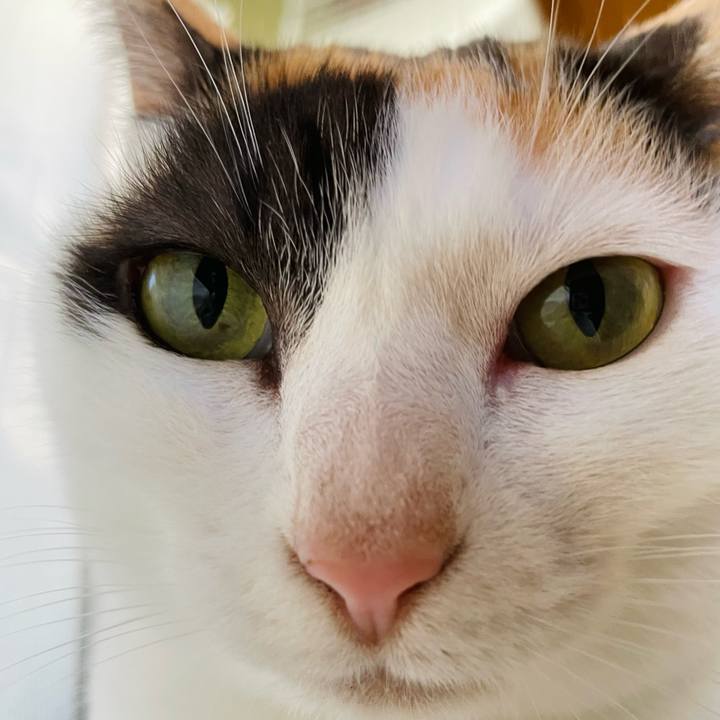 8c28eba4 9c8b 408f a2fe afe2c206c6b8 1646703831085