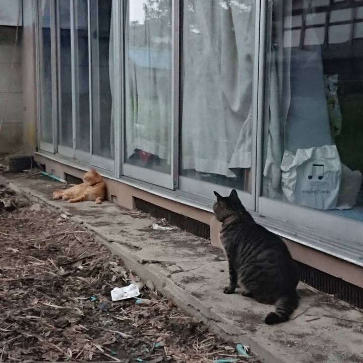 8c290e20 32df 4d5f bc98 284623c53a87 1661504088451