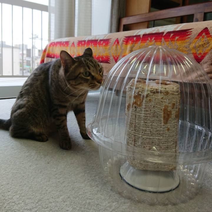 8c290e4f 6f5e 450f 8e08 fab685c71c42 1600478817692