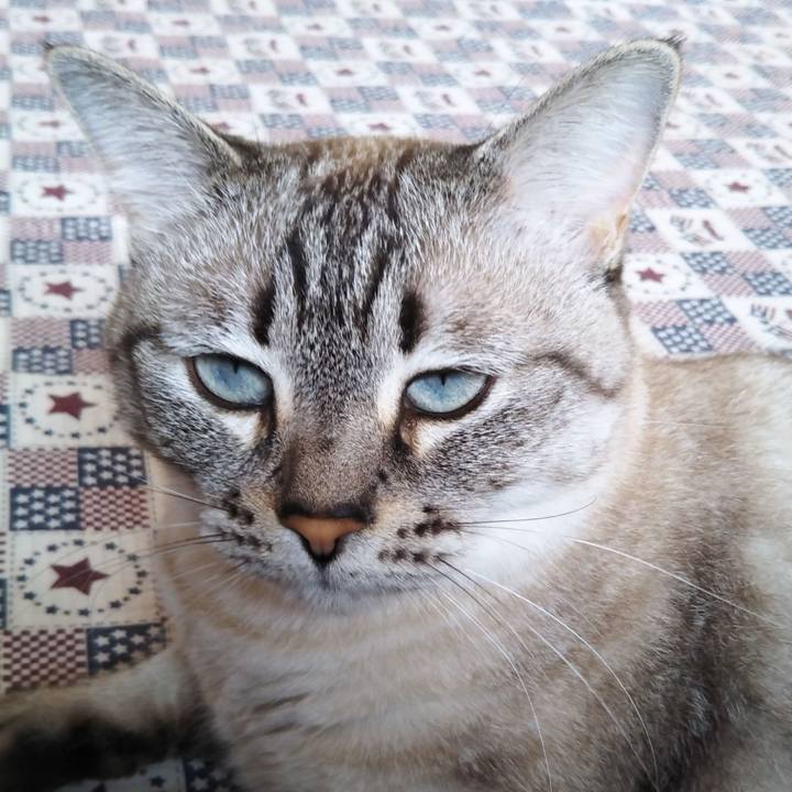 8c292c8c 88e0 4209 887f 58837a05d513 1595381413264