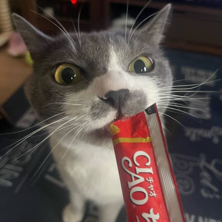 8c2931d3 6c60 42e9 b8e7 70f6fa0b74ec 1692858038134