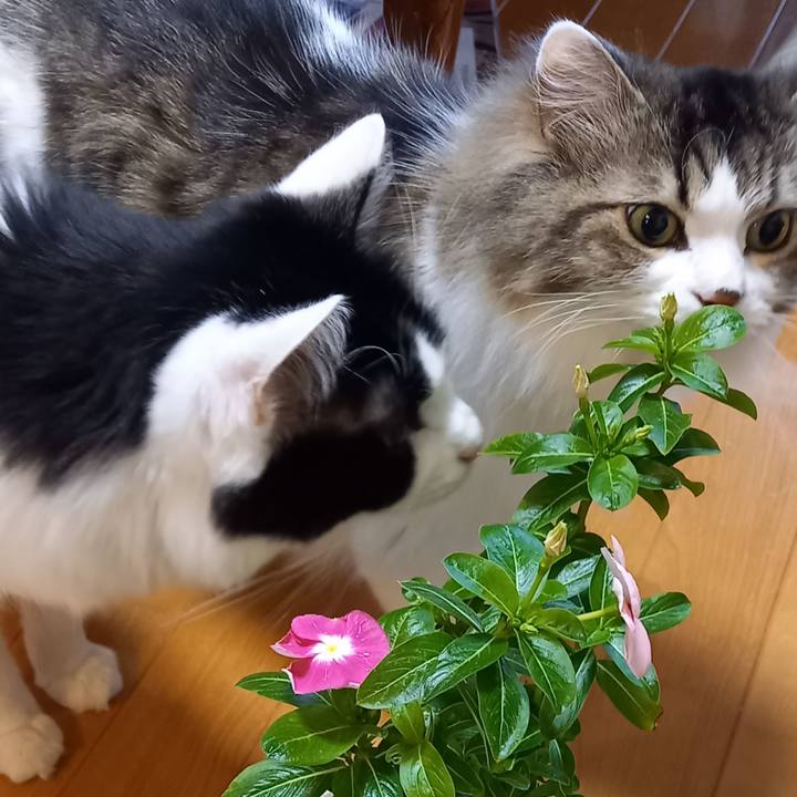 8c293625 06f4 497d bc92 390833a7b17c 1642925851963