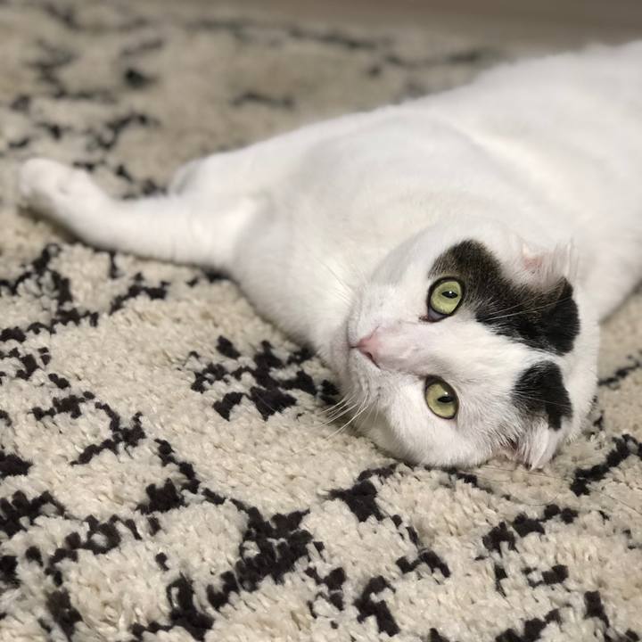 8c29674f 8e48 4785 8775 afc26ff9e037 1558879771796