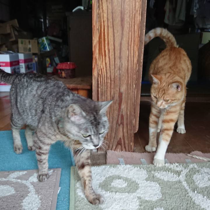 8c298fef dac0 4665 b711 0e0188183507 1564646254491